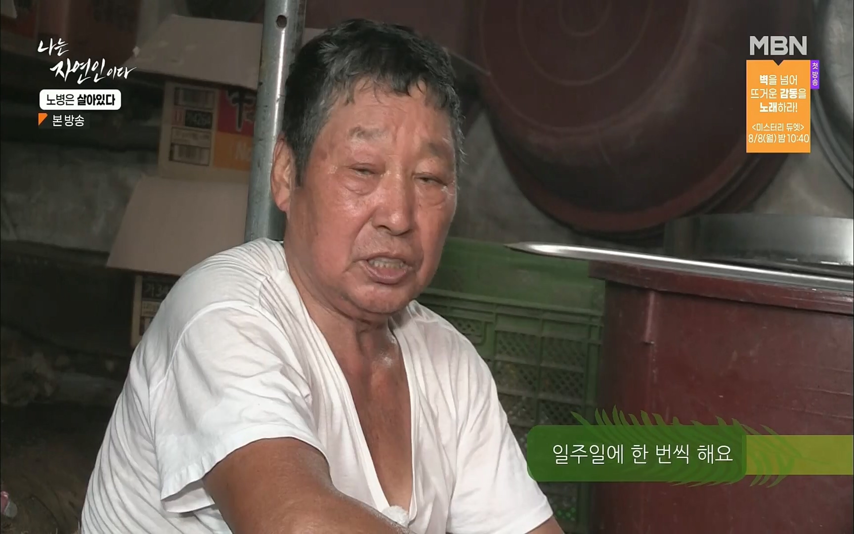 나는 자연인이다.E512.220727p.H264-F1RST.mp4_20220728_200918.116.jpg