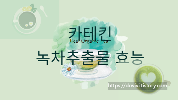  다이어트 보조제 녹차추출물 카테킨 효능