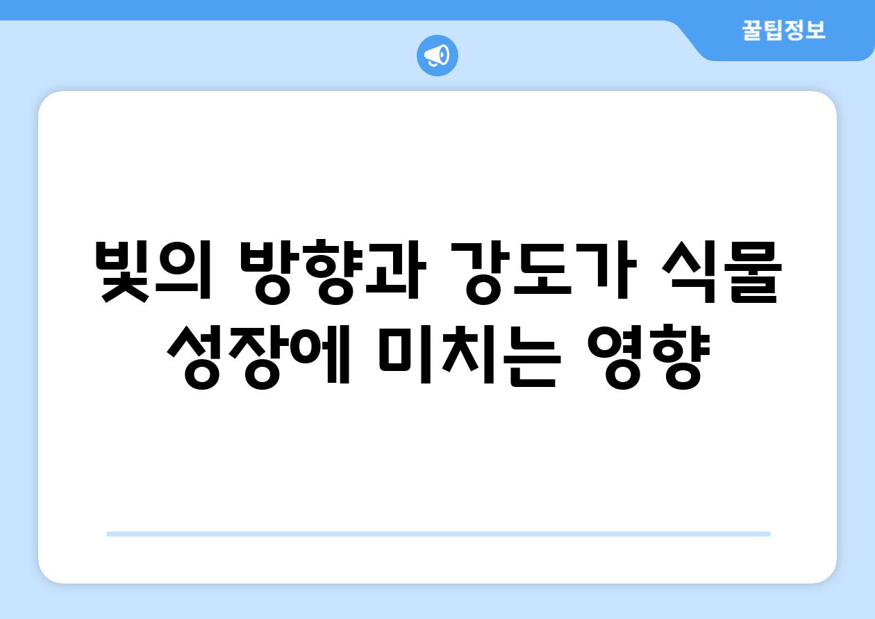 빛의 방향과 강도가 식물 성장에 미치는 영향