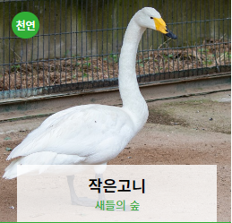 전주동물원