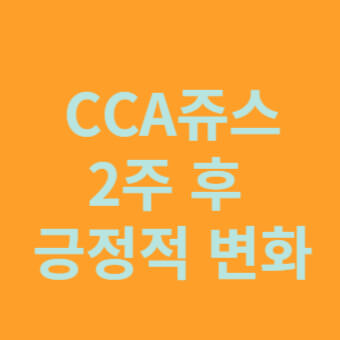 cca 쥬스&#44; 단순하면서도 자연스러운 방법이 가장 효과적인 다이어트