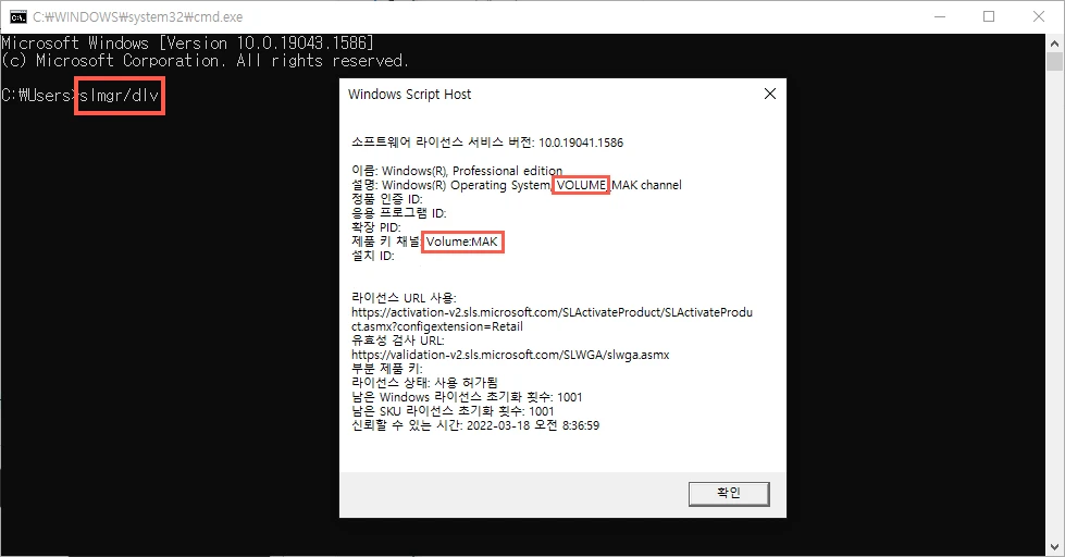 볼륨 버전 확인