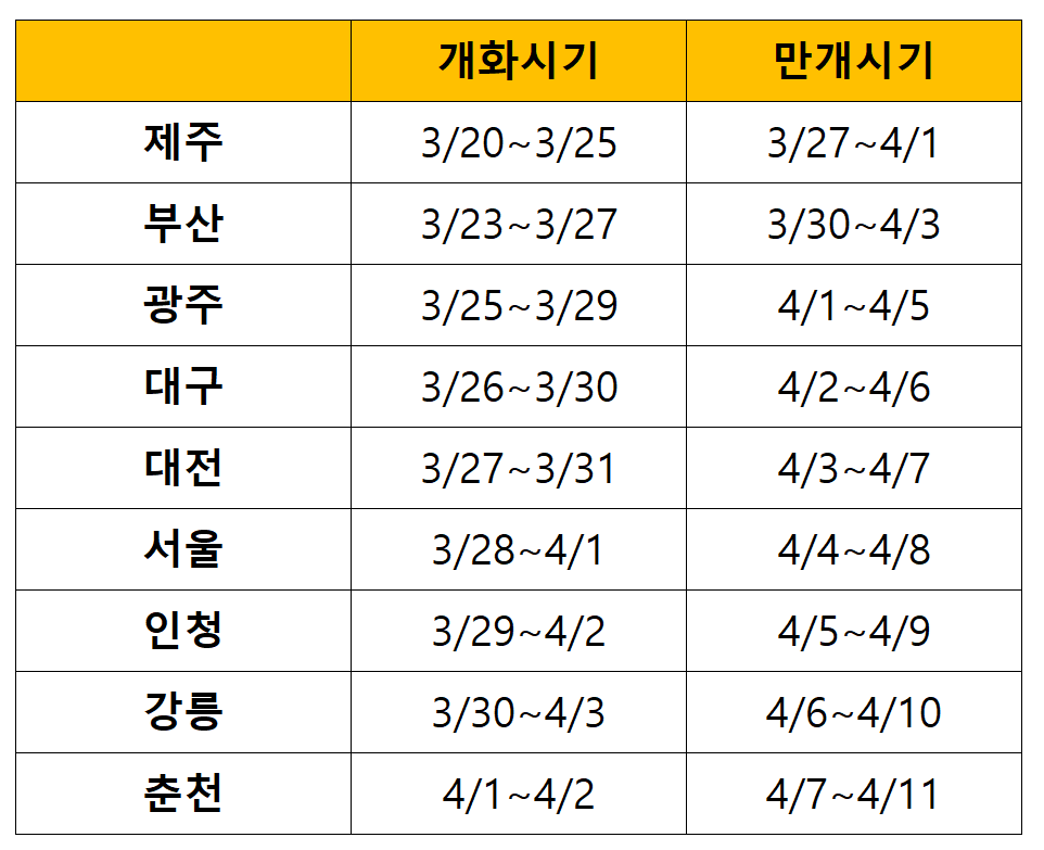2024 벚꽃 개화 시기 및 전국 인기 벚꽃 축제 일정