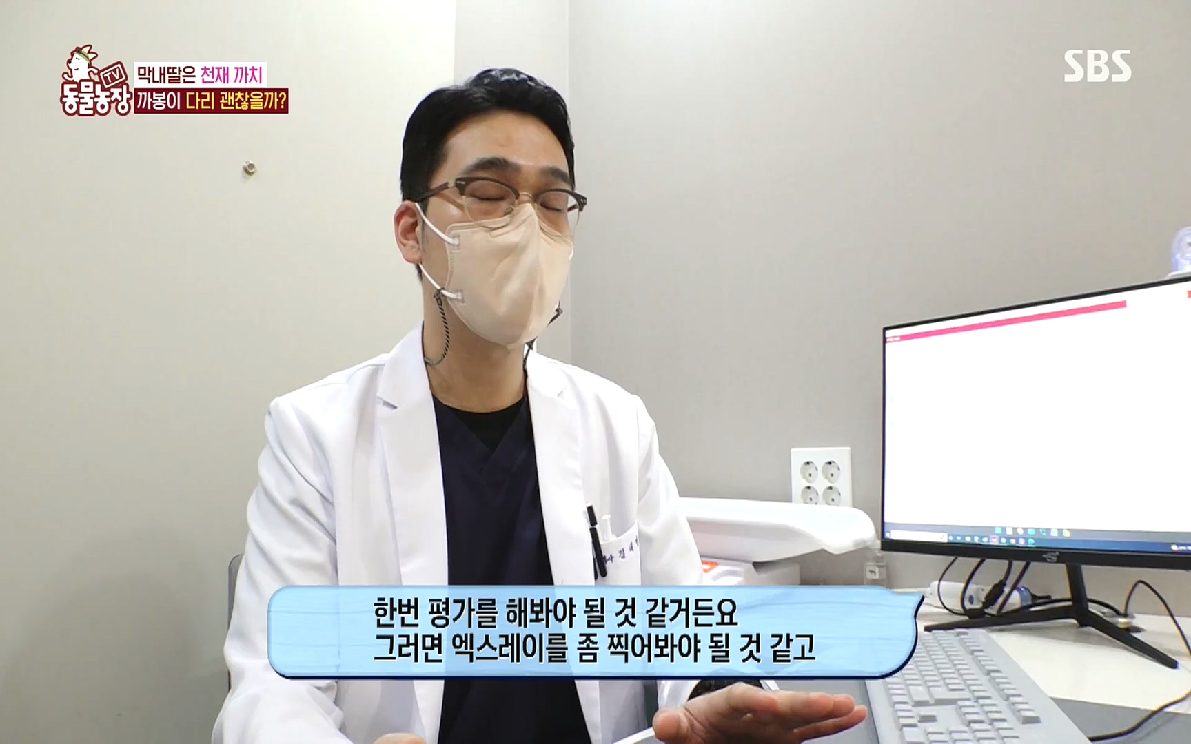 TV 동물농장.E1089.221002p.H264-F1RST.mp4_20221002_181929.327.jpg