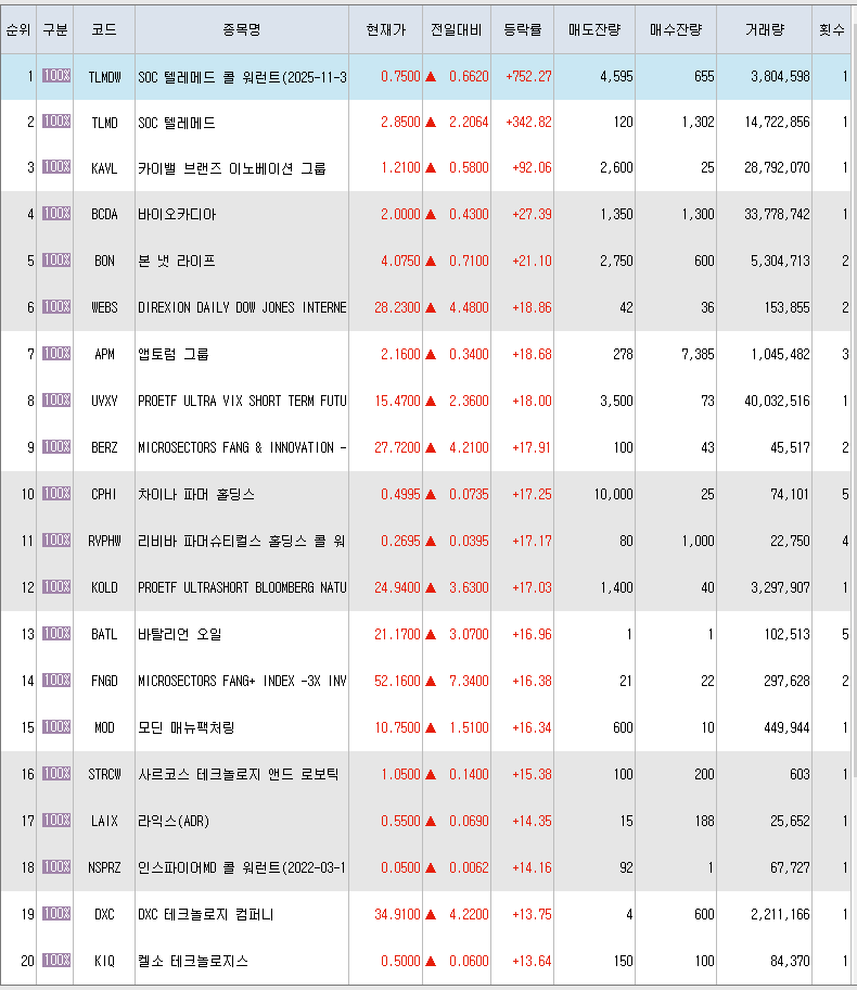  2월3일 미국주식 상승률 상위 종목 TOP 300