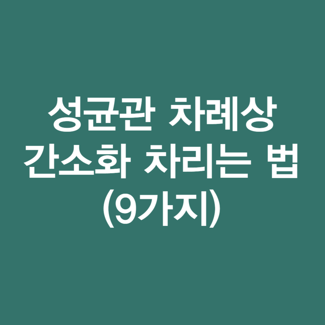 성균관 차례상 간소화 차리는 법(9가지)