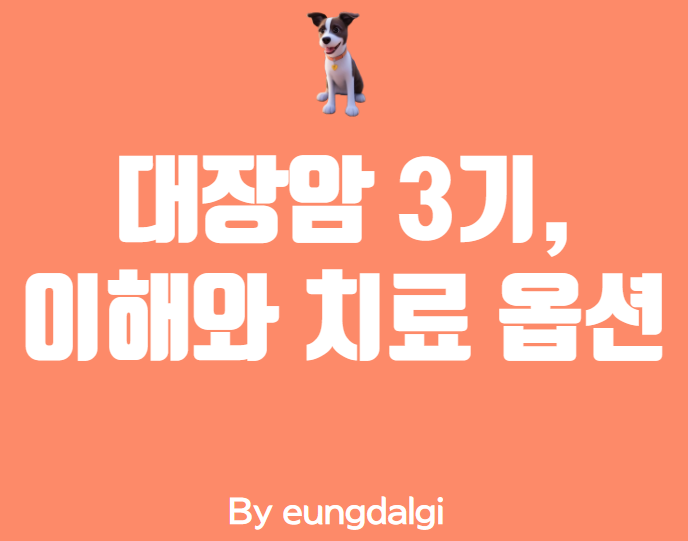  대장암 3기: 이해와 치료 옵션