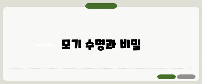 모기 수명과 활동 시기 여름철 대비 꼭 필요해요