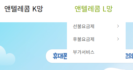 L망 로밍관련 항목이 없음