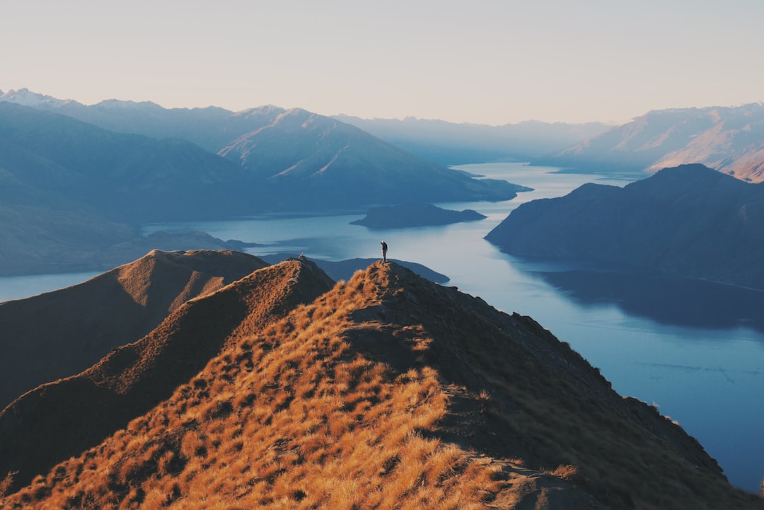 'View'