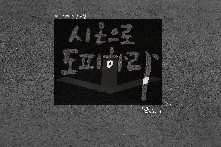 시온상회 이미지