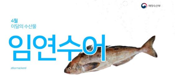 임연수(임연수어, 이면수) 제철