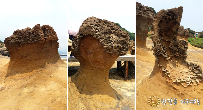 반달곰 지구여행 - 대만 타이페이 예류지질공원&#44; Yehliu Geopark