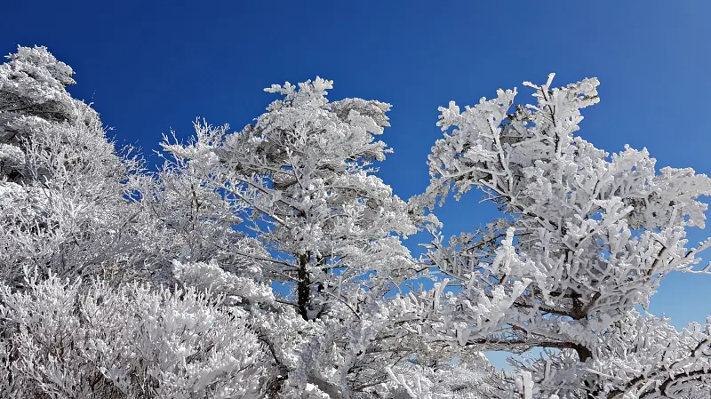 지리산 설경 상고대