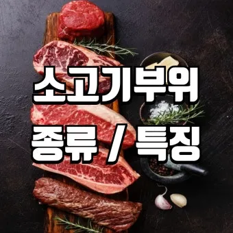 소고기 부위 가장 부드러운 순서대로 10선_18