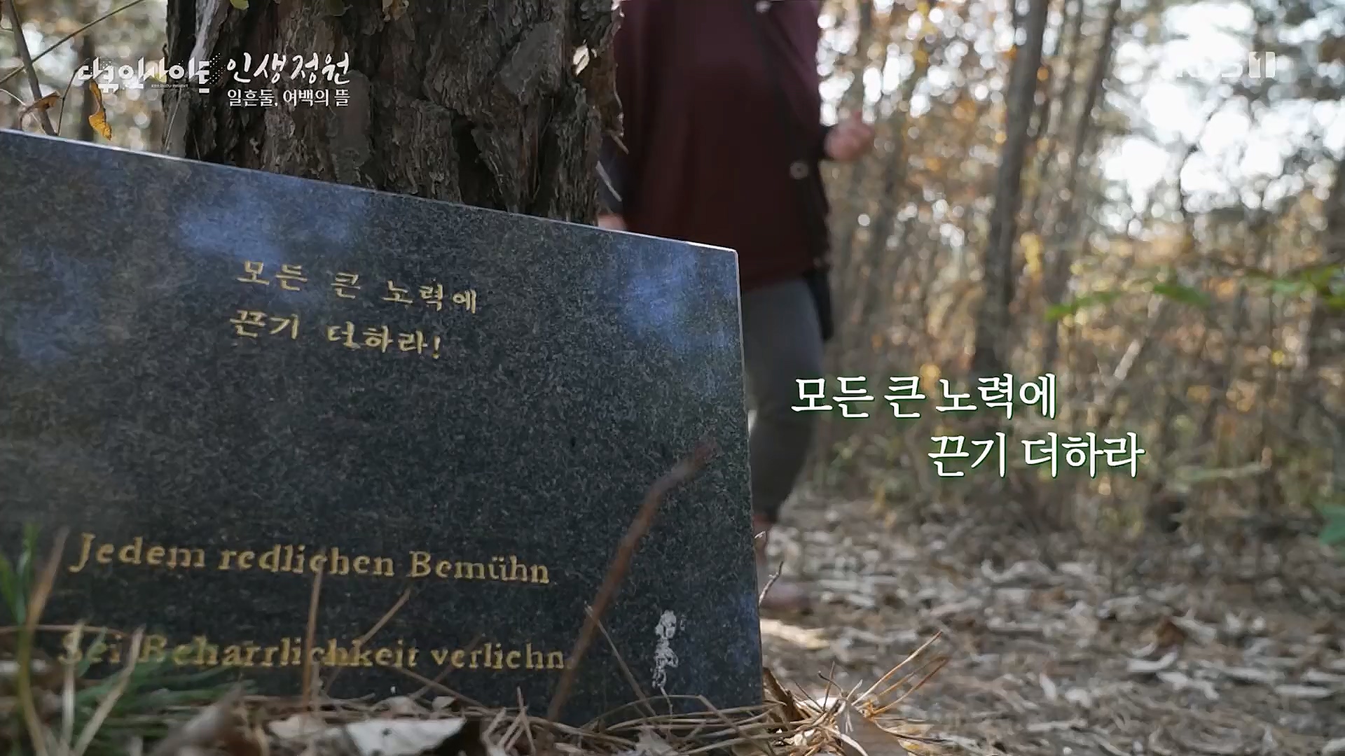 다큐 인사이트.E135.221229p.H264-F1RST.mp4_20230109_204226.759.jpg