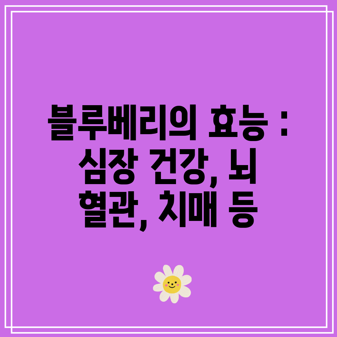 블루베리의 효능  심장 건강, 뇌 혈관, 치매 등