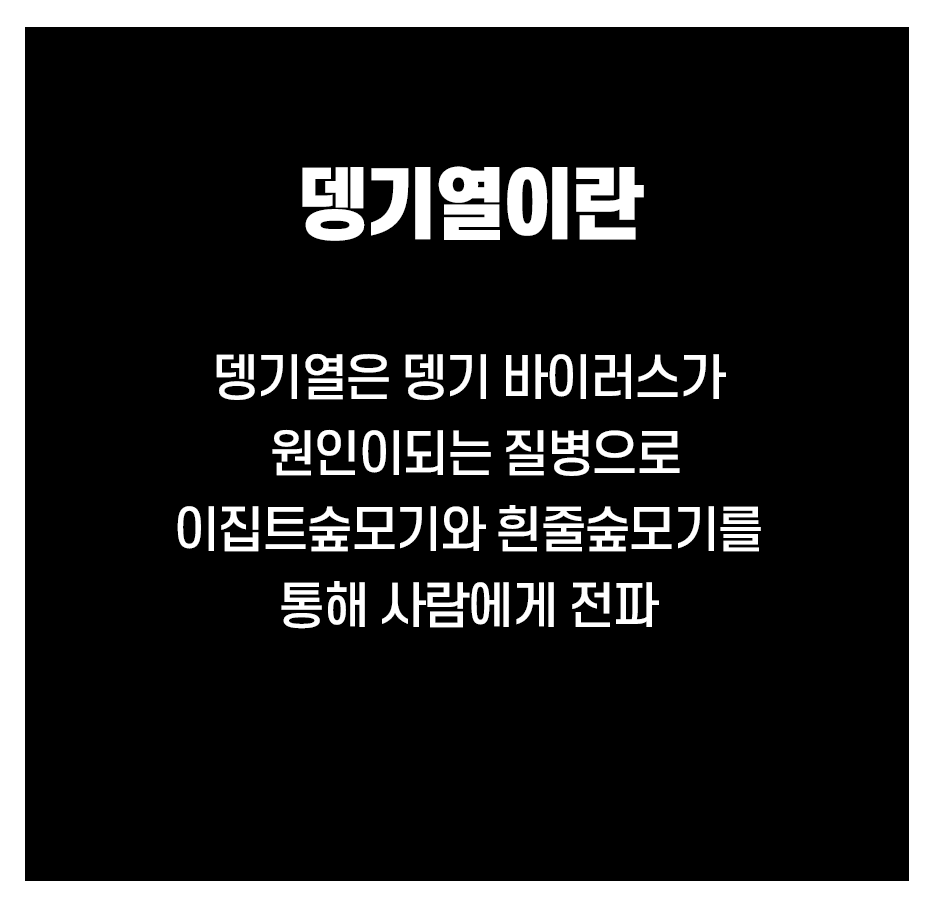 뎅기열이란 무엇인가