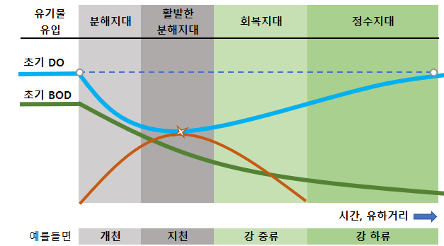 하천의 자정과정