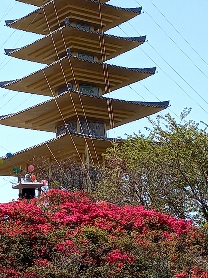 img.jpg