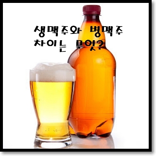  생맥주와 병맥주 무슨 차이가 있을까? (제조 원리,맛차이)