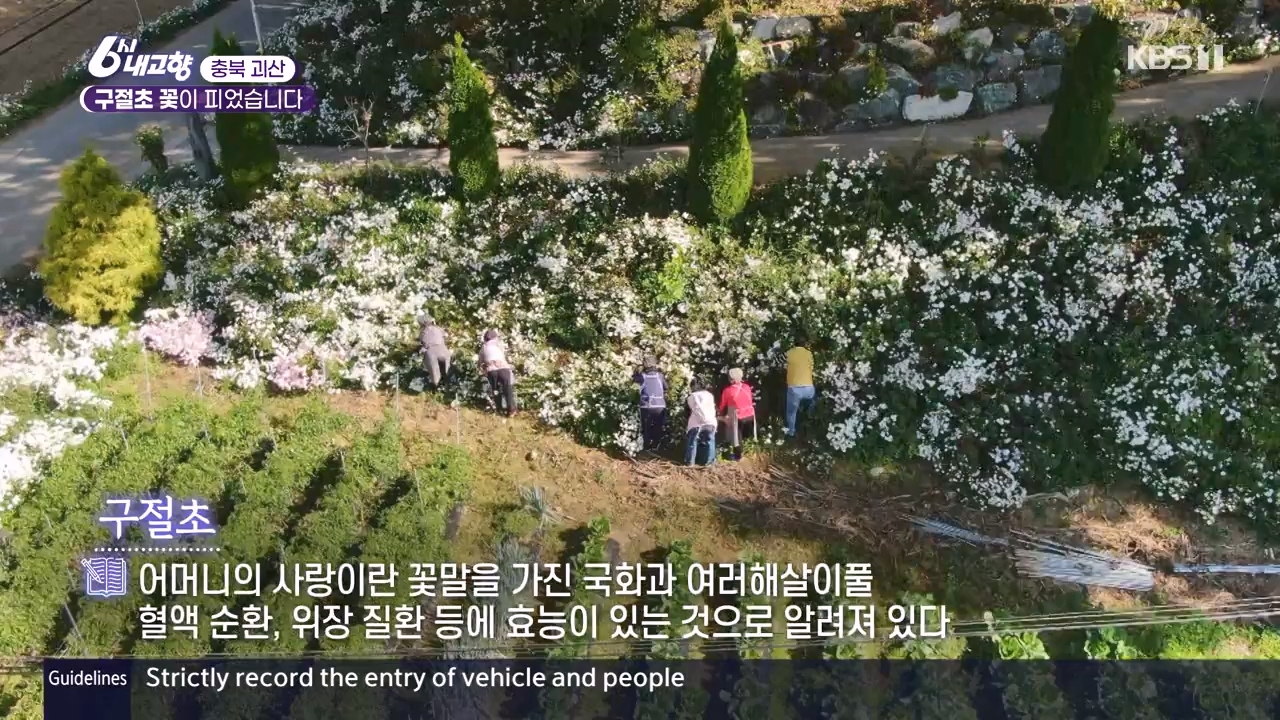 6시 내고향.E7910.231032p-NEXT.mp4_20231101_204602.253.jpg