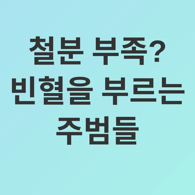 빈혈 관리_2