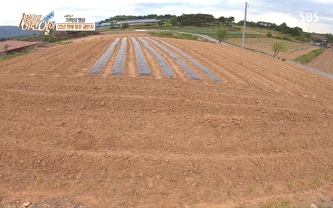 순간포착 세상에 이런일이.E1180.220518p-NEXT.mp4_20220518_181612.135.jpg