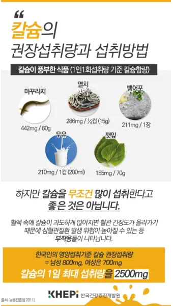 칼슘 영양제 종류 섭취시간 섭취방법_14