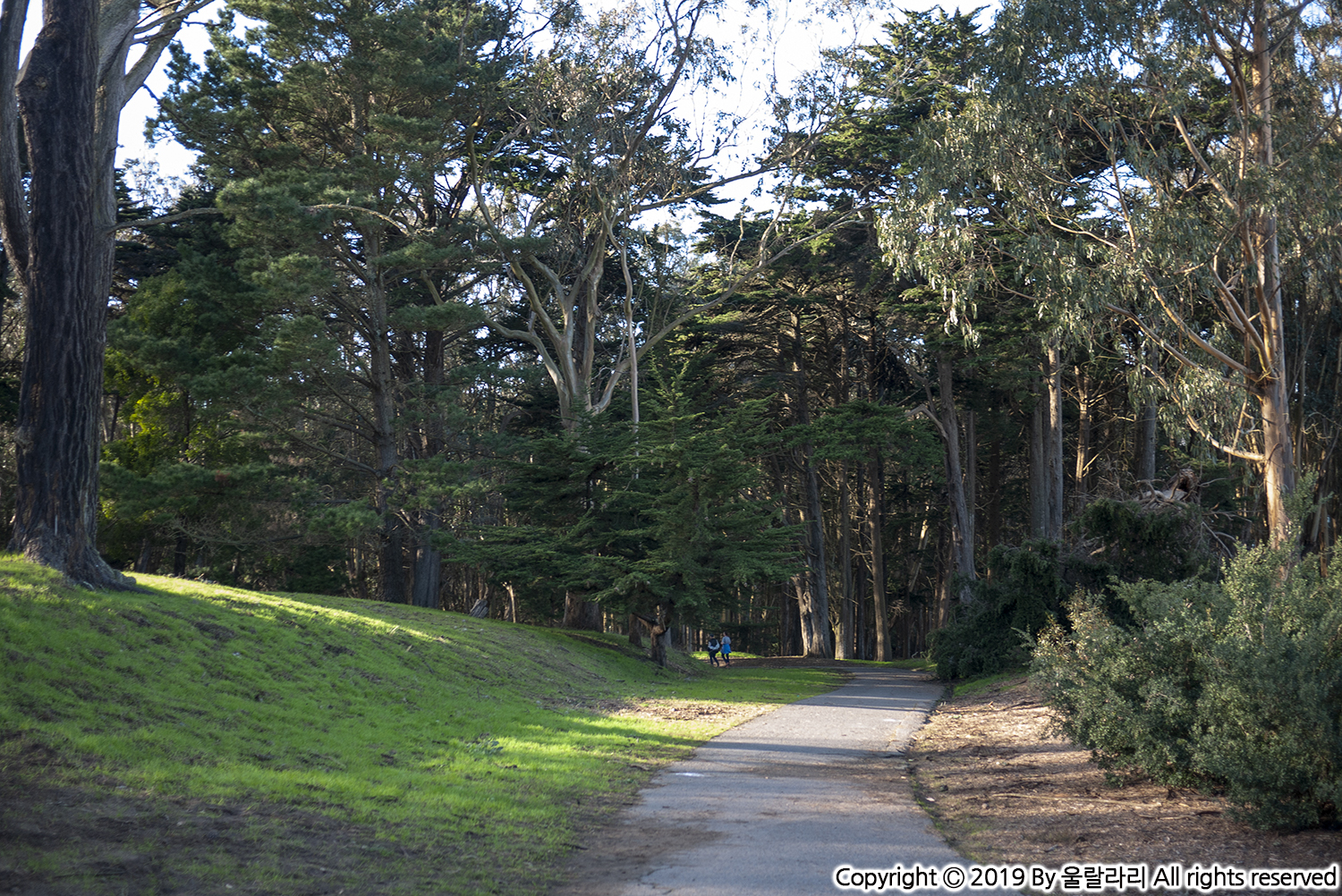 샌프란시스코 시크릿 가든 프레시디오 공원 PRESIDIO OF SAN FRANCISCO