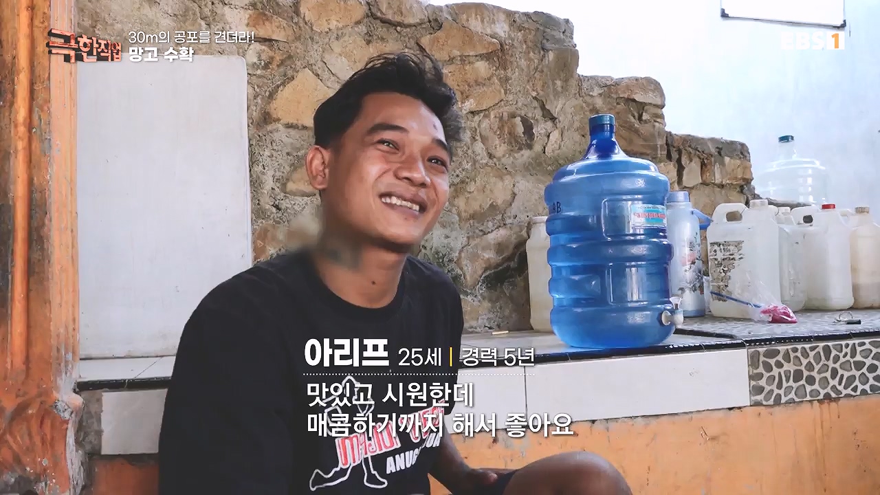 TV - 전 국민의 평생학교 EBS30m의 공포를 견뎌라! 인도네시아 열대과일 수확.mp4_20240103_200553.301.jpg