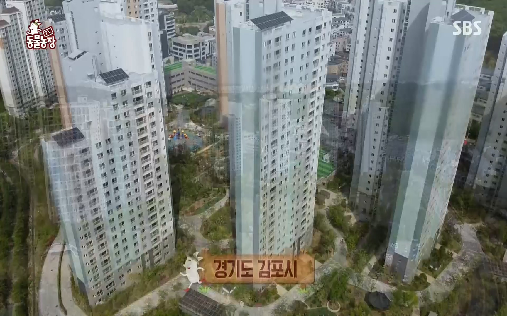 TV 동물농장.E1072.220605p.H264-F1RST.mp4_20220605_181418.980.jpg