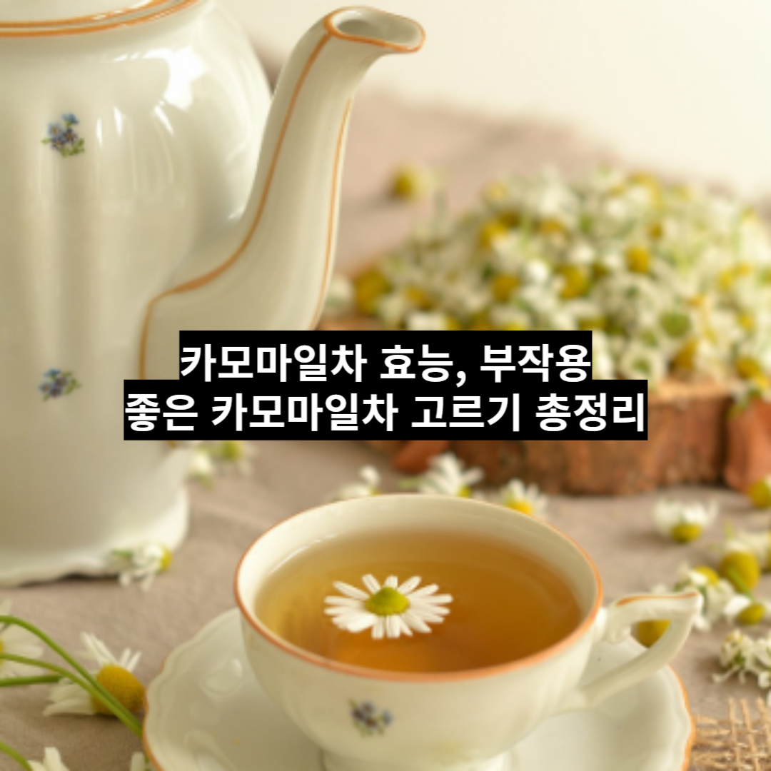 섬네일