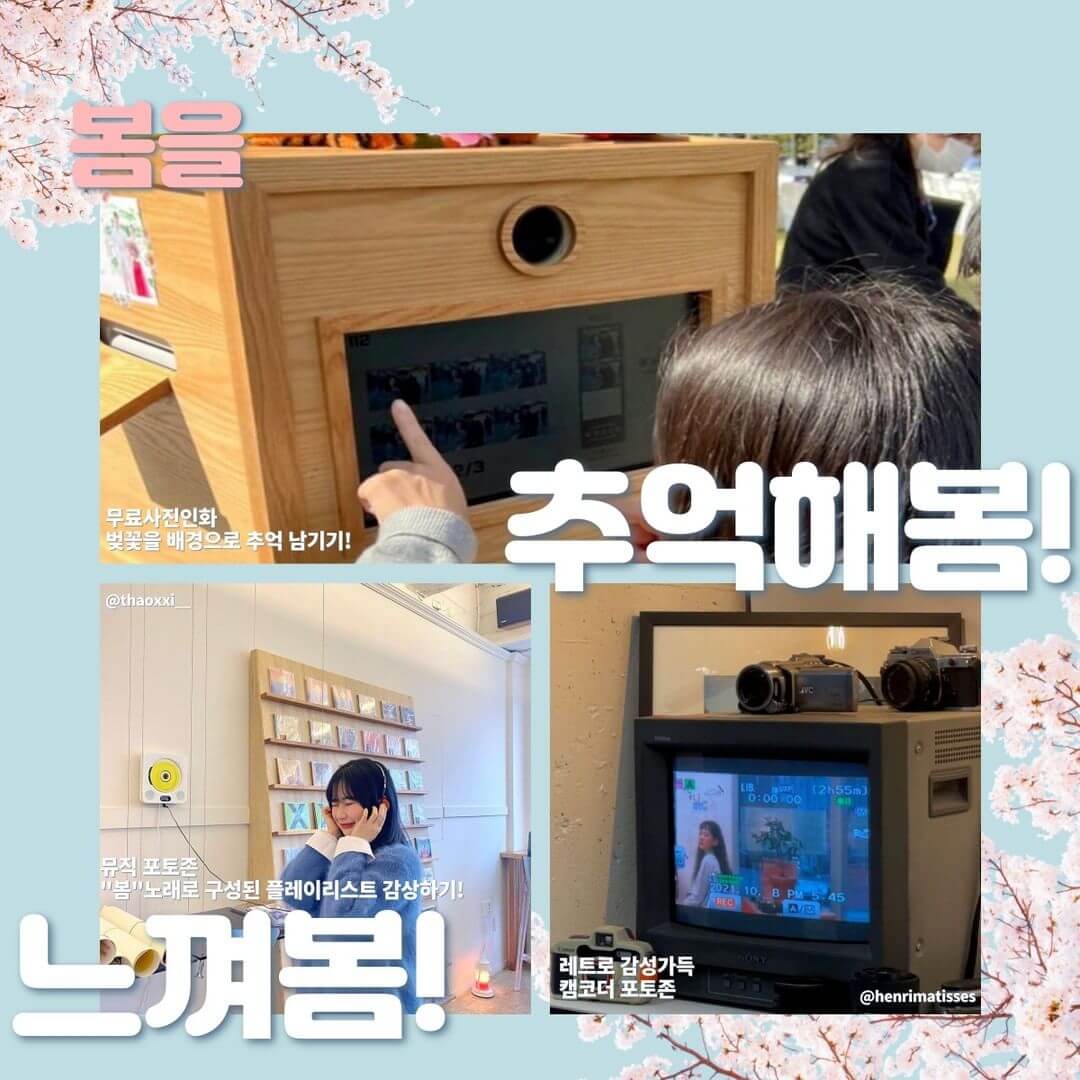 경주 벚꽃 축제 보문단지