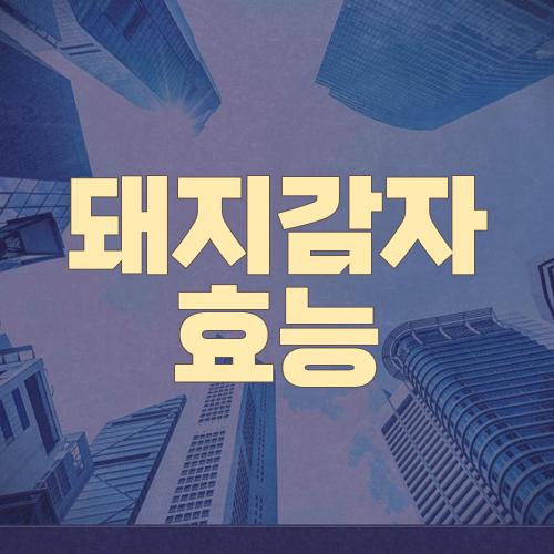 돼지감자 효능