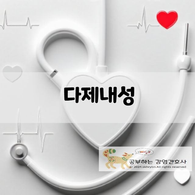 다제내성균이란? 위험한 이유