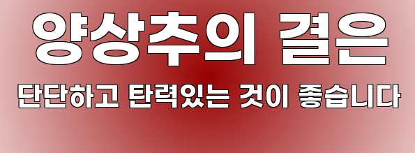  양상추의 결은 단단하고 탄력있는 것이 좋습니다