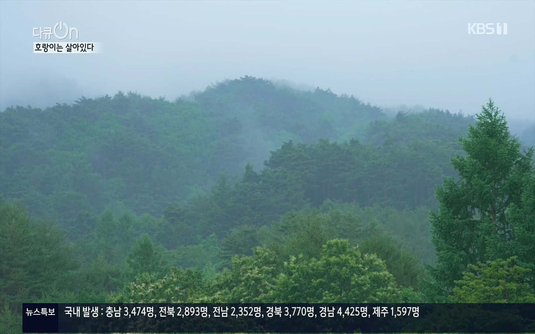 다큐 On.E150.220729p.H264-F1RST.mp4_20220730_164052.790.jpg