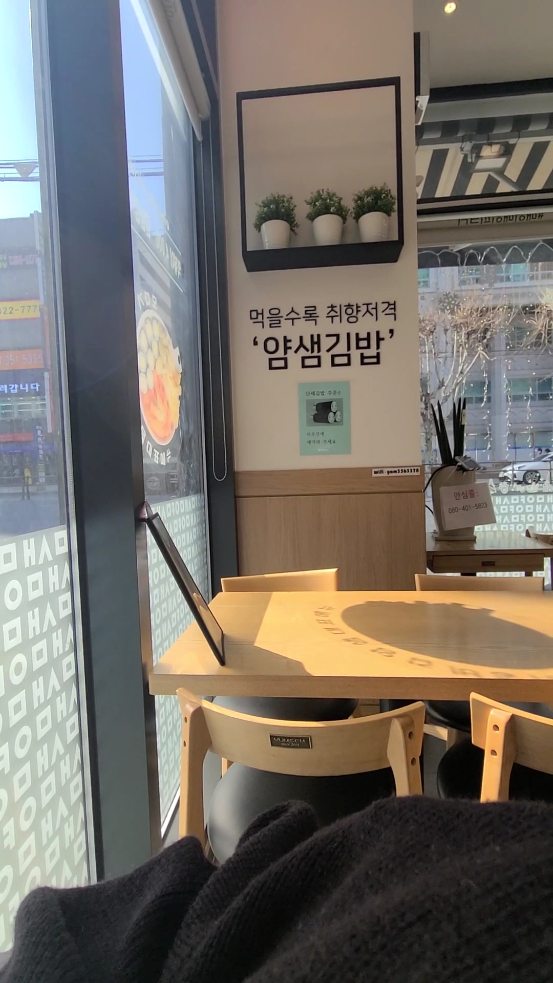 모다기 이미지