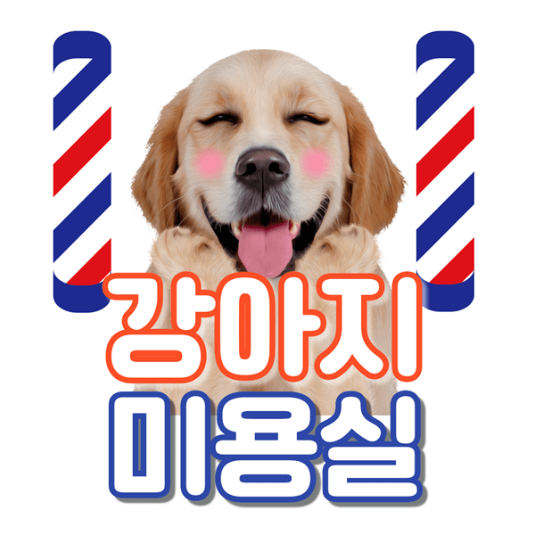 서울 광진구 애견 미용 강아지 미용실