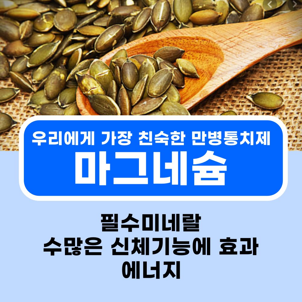  마그네슘 전세계 판매량 탑 5 직구 영양제 추천, 효능과 부작용
