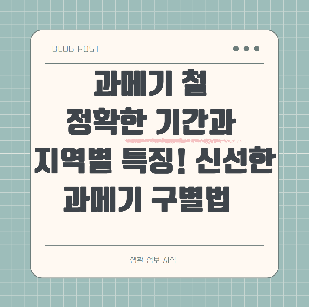 과메기 철 정환한 기간과 지역별 특징 신선한 과메기 구별방법 알아보기