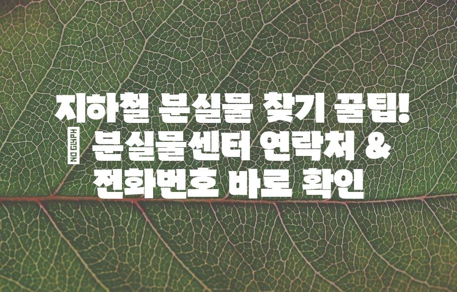 샘플 (43)