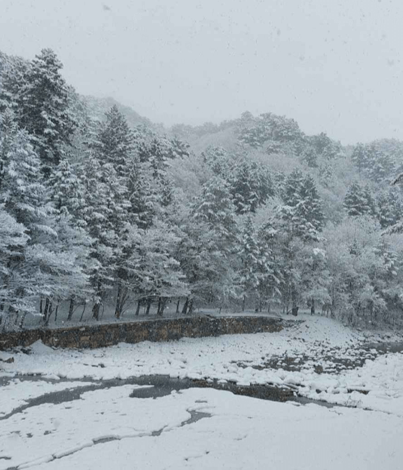 오대산국립공원 백두대간의 중추이자 역사적 성지 추천여행
