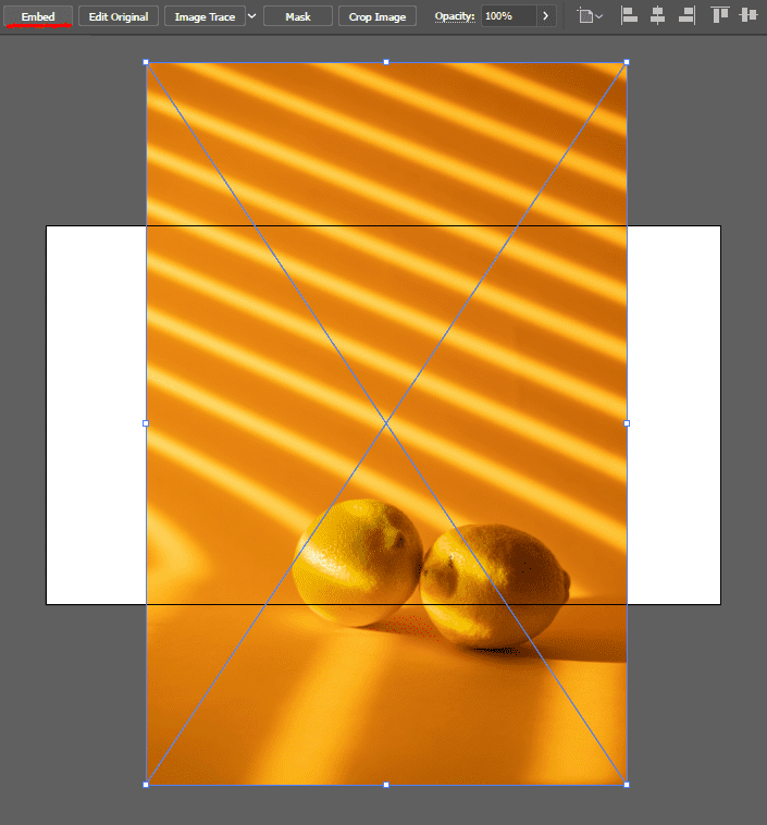illustrator-place-image-embed
