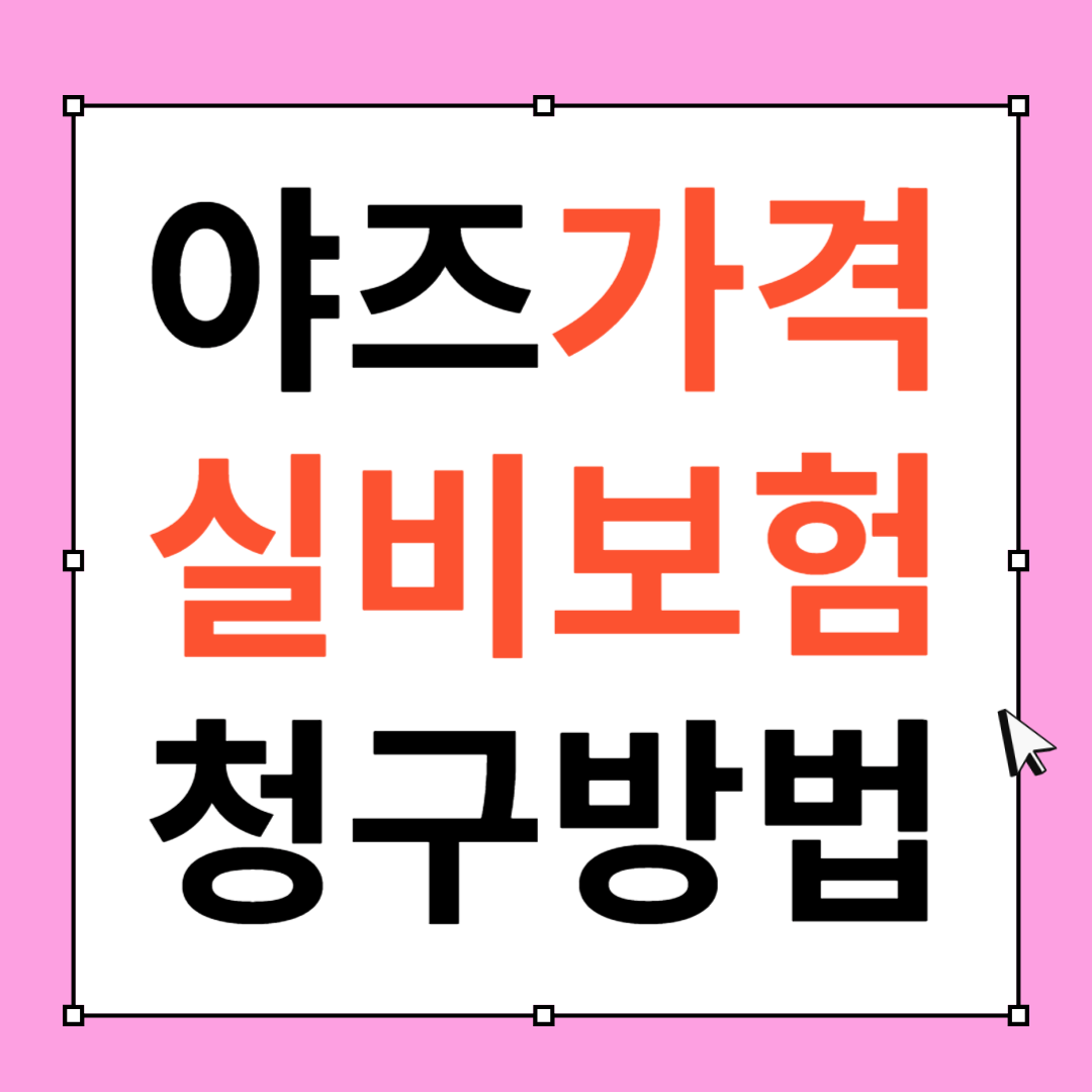 부정출혈 야즈 가격 실비 청구방법 후기