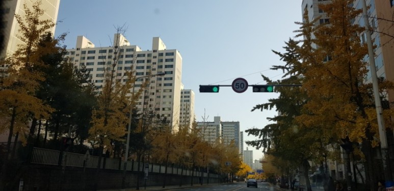 어디까지 임대주택 수리범위 월세 전세 원상회복 3