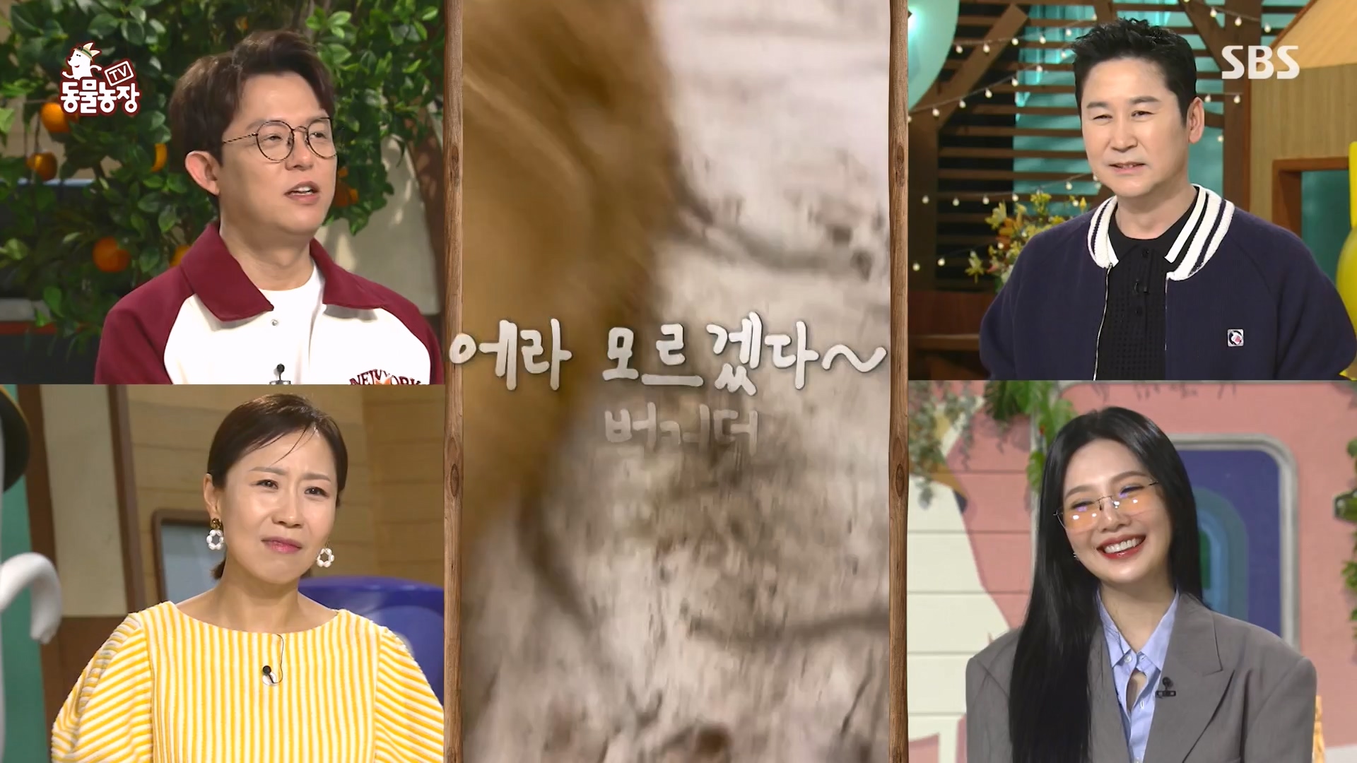 TV 동물농장.E1166.240407p-NEXT.mp4_20240407_164454.044.jpg