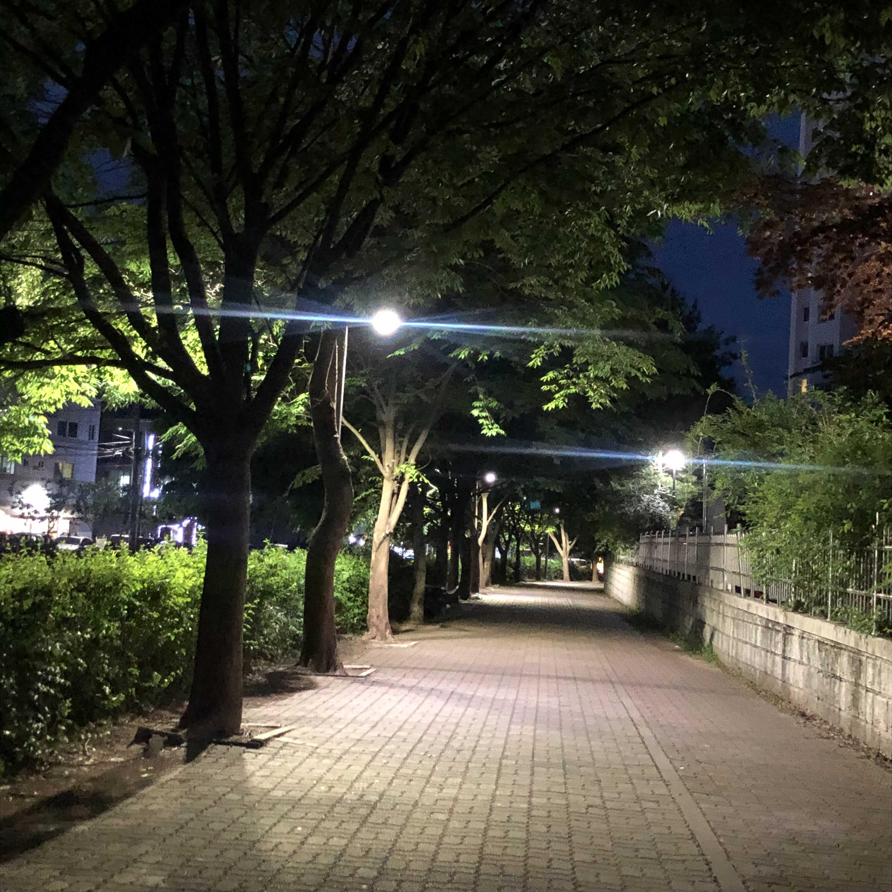  [감성사진] 5월 저녁 산뜻길