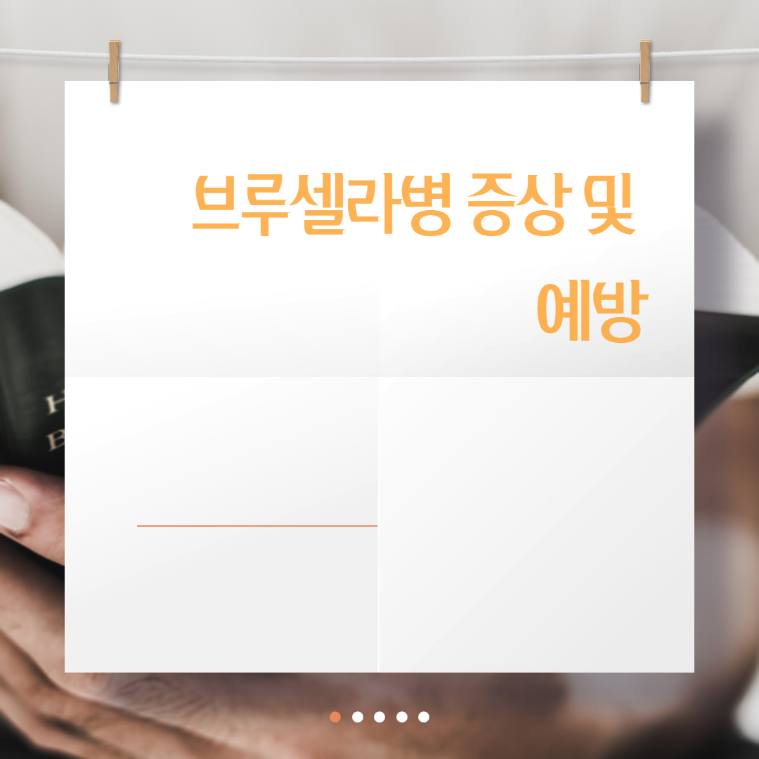  브루셀라병 증상 및 예방